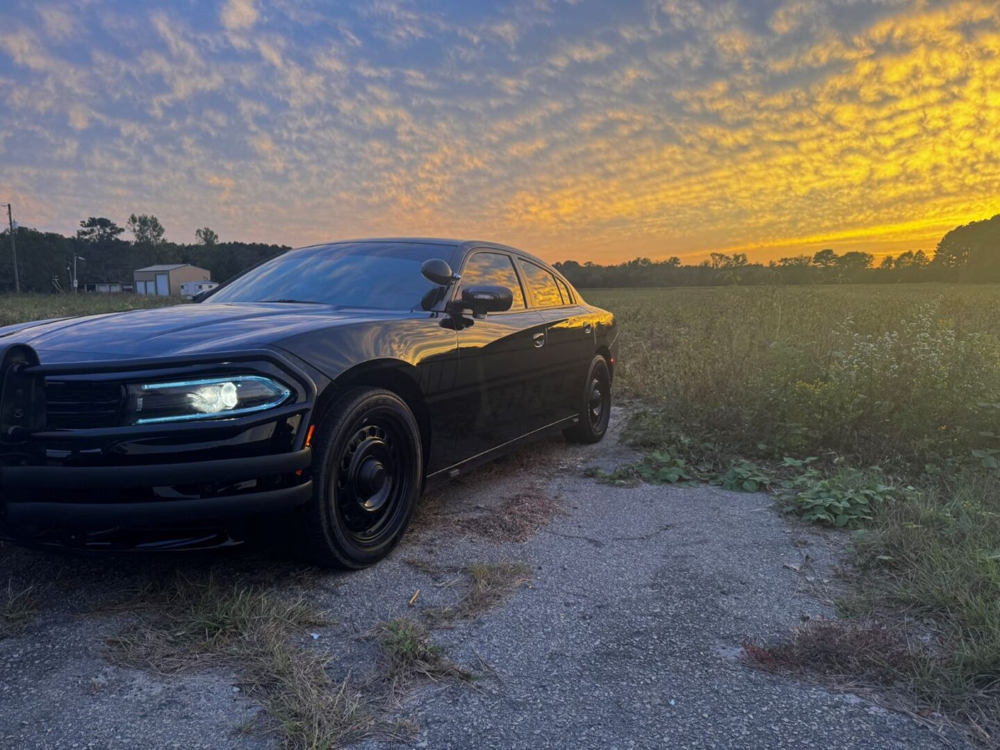 patrol car